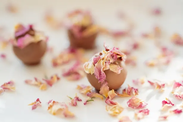 Moon Casino Android/iOS aplikacija